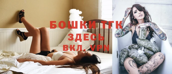 молекула духа Новокубанск